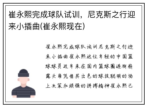 崔永熙完成球队试训，尼克斯之行迎来小插曲(崔永熙现在)