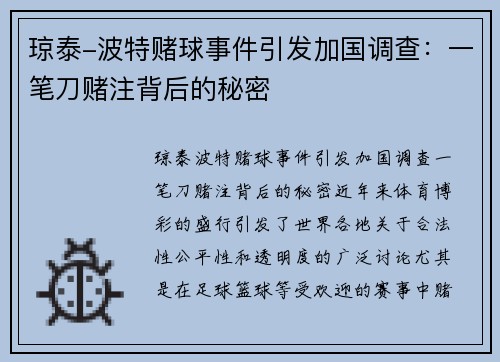 琼泰-波特赌球事件引发加国调查：一笔刀赌注背后的秘密