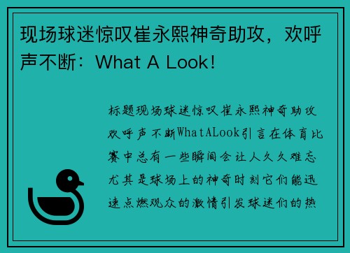 现场球迷惊叹崔永熙神奇助攻，欢呼声不断：What A Look！
